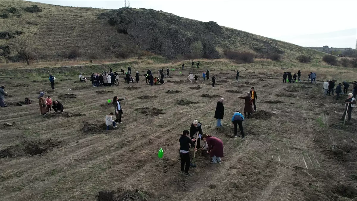 Çubuk'ta Anaokulu Öğrencileri Fidan Dikerek Doğa Sevgisi Aşılıyor