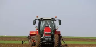 Edirne'de Buğday Üretiminde Yeni Ekim Yöntemleri Deneniyor