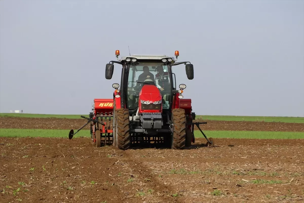 Edirne'de Buğday Üretiminde Yeni Ekim Yöntemleri Deneniyor