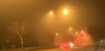 Erzurum'da Soğuk Hava ve Yoğun Sis Hayatı Olumsuz Etkiliyor