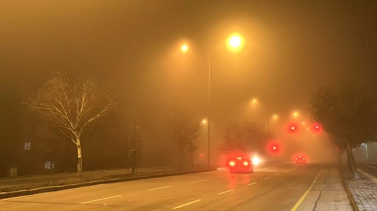 Erzurum'da Soğuk Hava ve Yoğun Sis Hayatı Olumsuz Etkiliyor