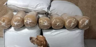 Kırşehir'de 400 Kilogram Kaçak Tütün Ele Geçirildi