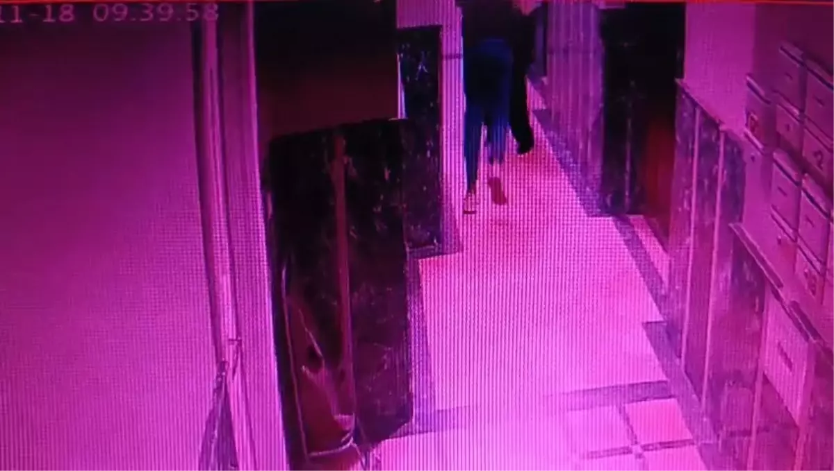 Pendik'te eşini bıçakla öldürüp intihar etti; binaya girişleri kamerada
