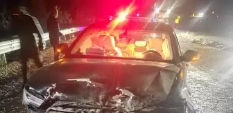 Sinop Belediye Başkanı'nın Makam Aracı Domuz Sürüsüne Çarptı