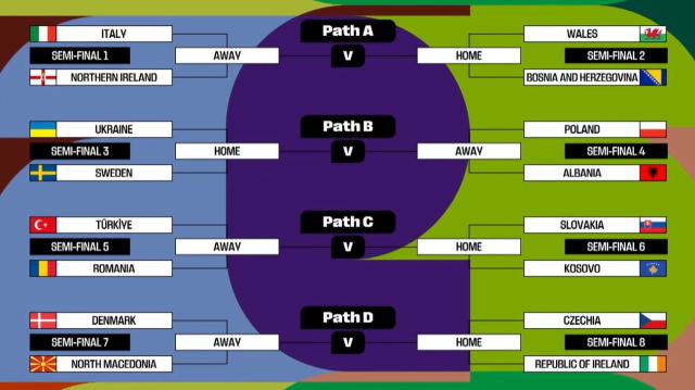a milli futbol takimimizin dunya kupasi play off 19273860 7918 m