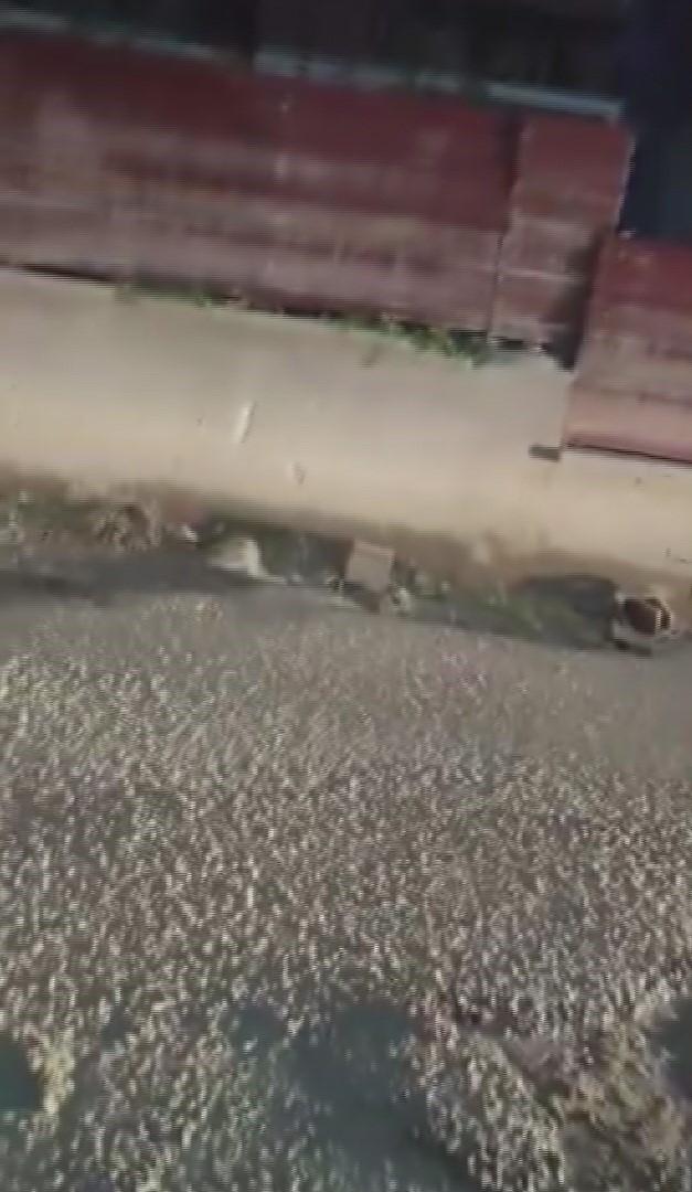 'My company is rich, we will pay our fine' he said! Now it's time to settle the account