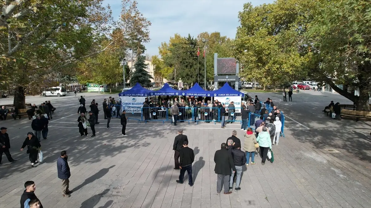 Çubuk'ta Ücretsiz Fidan Dağıtımı Yapıldı