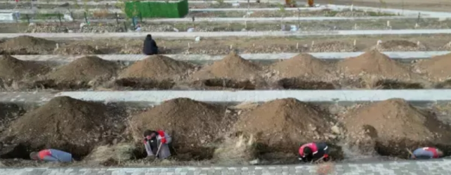 Erzurum'da 500 mezar neden kazıldı? İşte nedeni! Erzurum'da 500 mezar neden kazıldı? İşte nedeni!