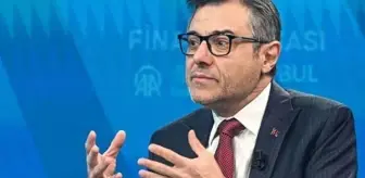 Göksal Aşan kimdir? Göksal Aşan Cumhurbaşkanlığı Başdanışmanlığı görevinden neden istifa etti?