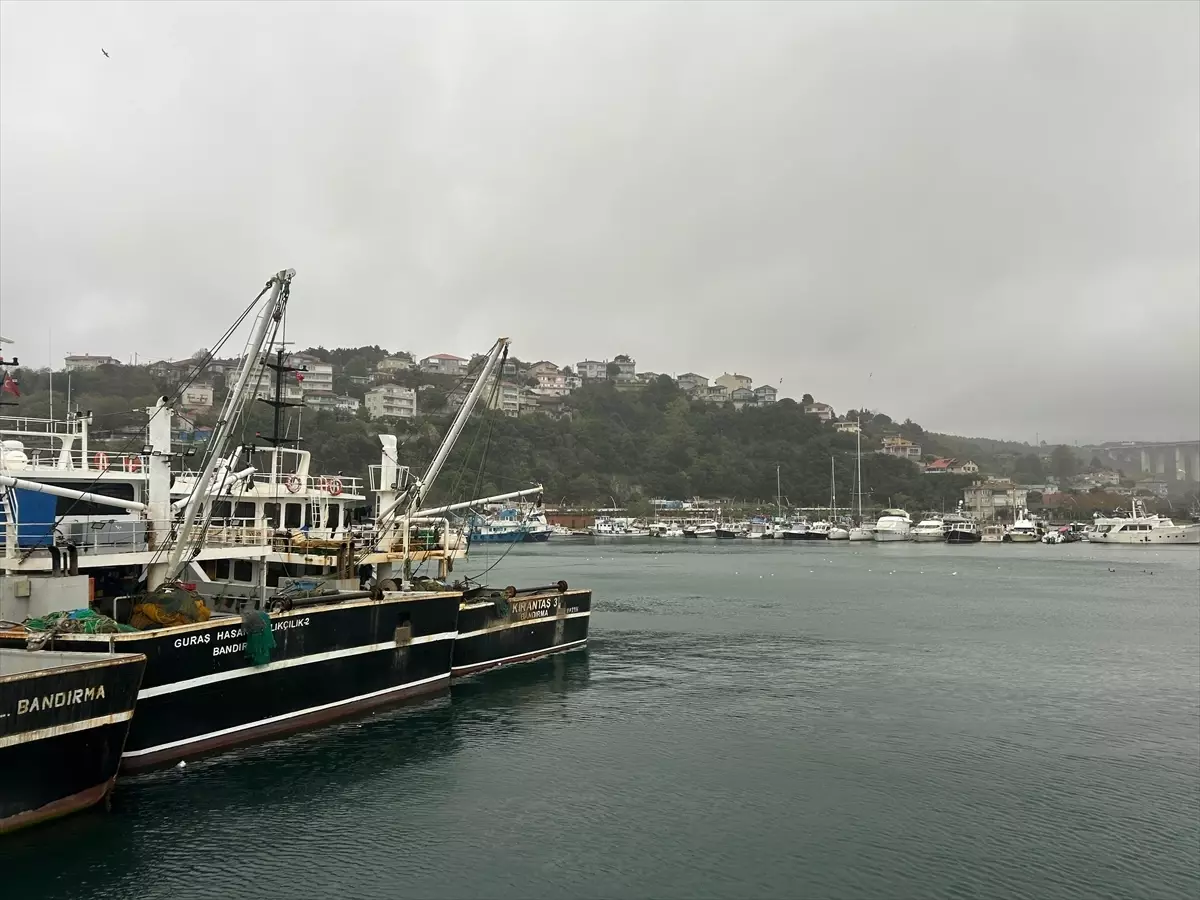 METROPOLDE KÖY HAYATI - Boğaz'a nazır Poyraz Mahallesi sakinleri ekmeğini denizden çıkarıyor