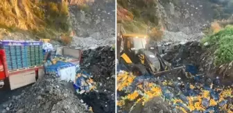 Sınır kapısında zirai ilaç kalıntısı bulunan 6 ton mandalina imha edildi