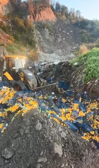 Pesticide Residue Found, 6 Thousand Kilograms of Mandarins Destroyed,