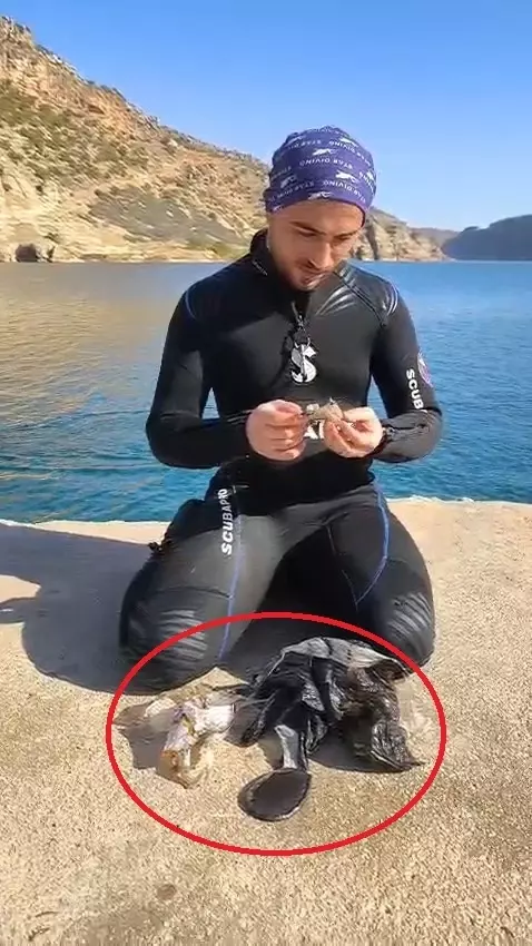 What was pulled from the dam was chilling! It was immediately taken out and burned