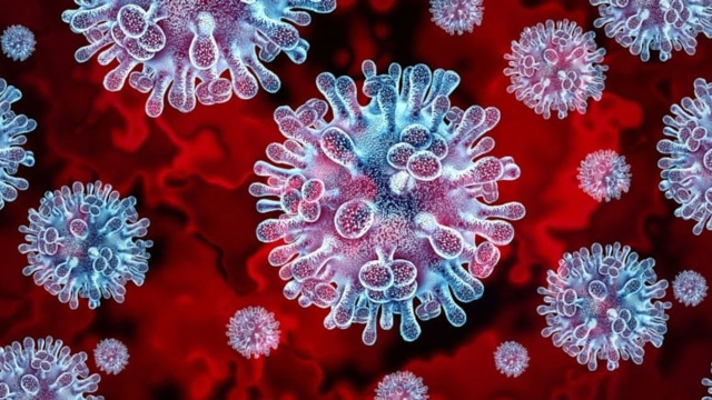 A major epidemic is at hand! The most contagious virus since Covid-19