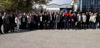 Çubuk'ta Domates Üretimi İçin Eğitim Programı Tamamlandı