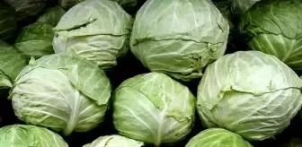 Darende'nin İlaçsız Göyyar Lahanası, Gastromasa İstanbul'da Tanıtıldı