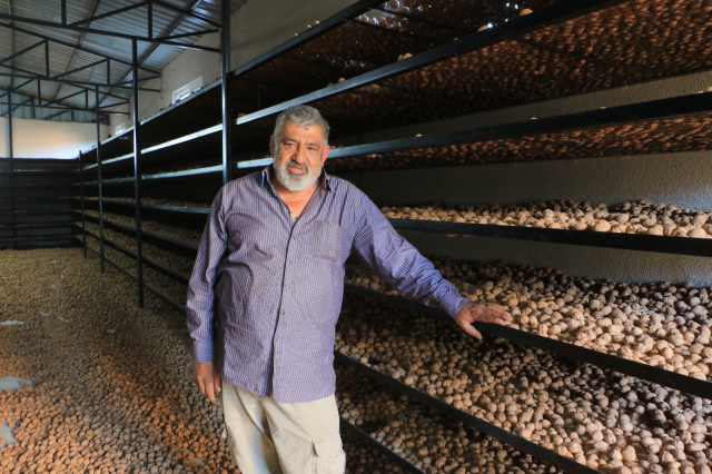 Retired Döner Seller Transitioned to Walnut Production, Progressing Towards Becoming a Brand