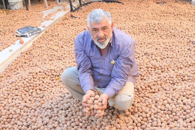 Retired Döner Seller Transitioned to Walnut Production, Progressing Towards Becoming a Brand