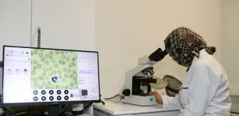 Kan hücrelerini yapay zekayla tanıyan cihaz hekimlere kolay erişim sağlıyor