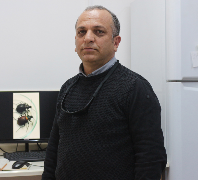 Warning about 'aluminum phosphide' after poisoning in the hotel: Known as grain bait, it is even sold in grocery stores