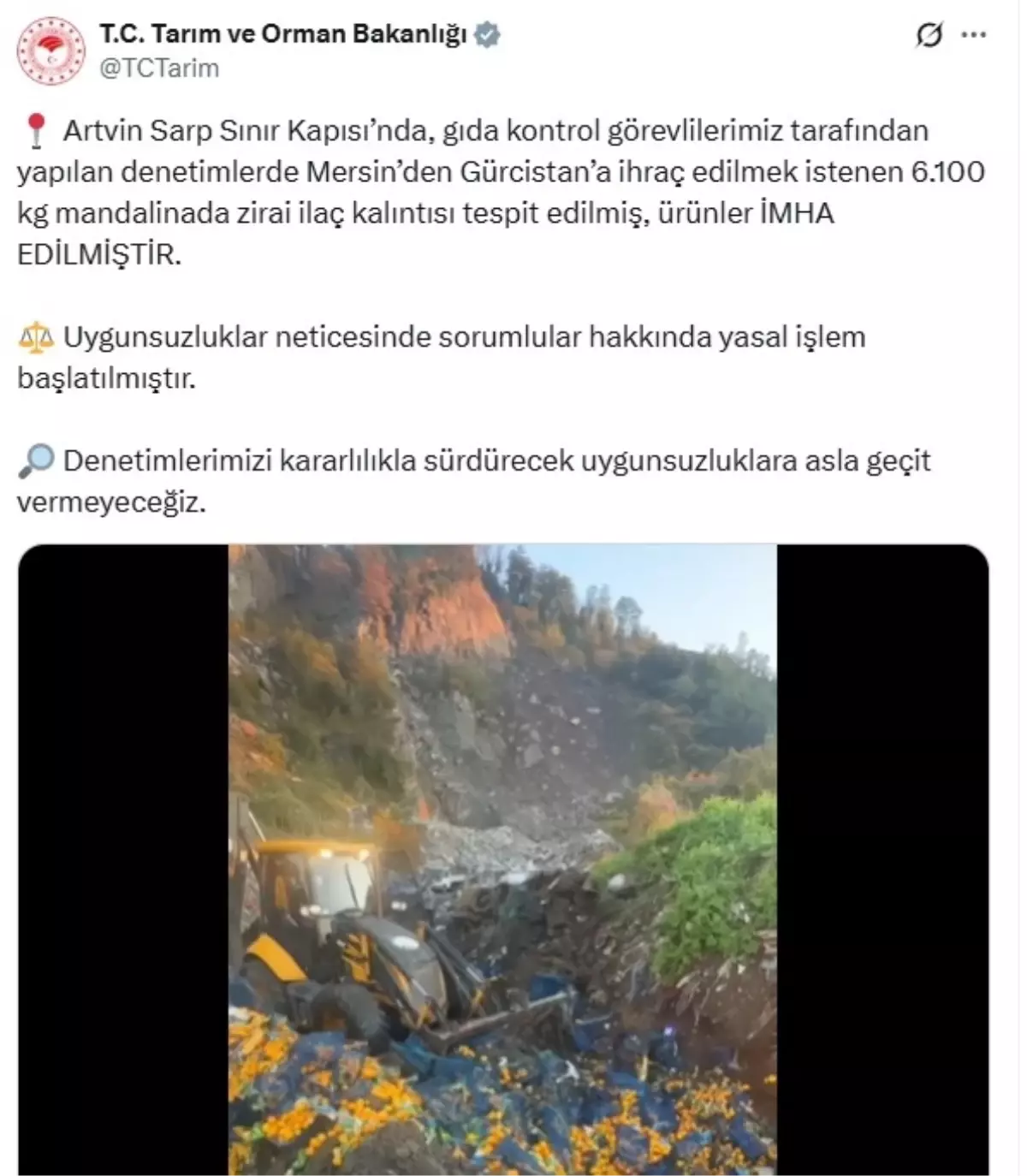 Sarp Sınır Kapısı'nda 6,1 Ton Mandalina İmha Edildi