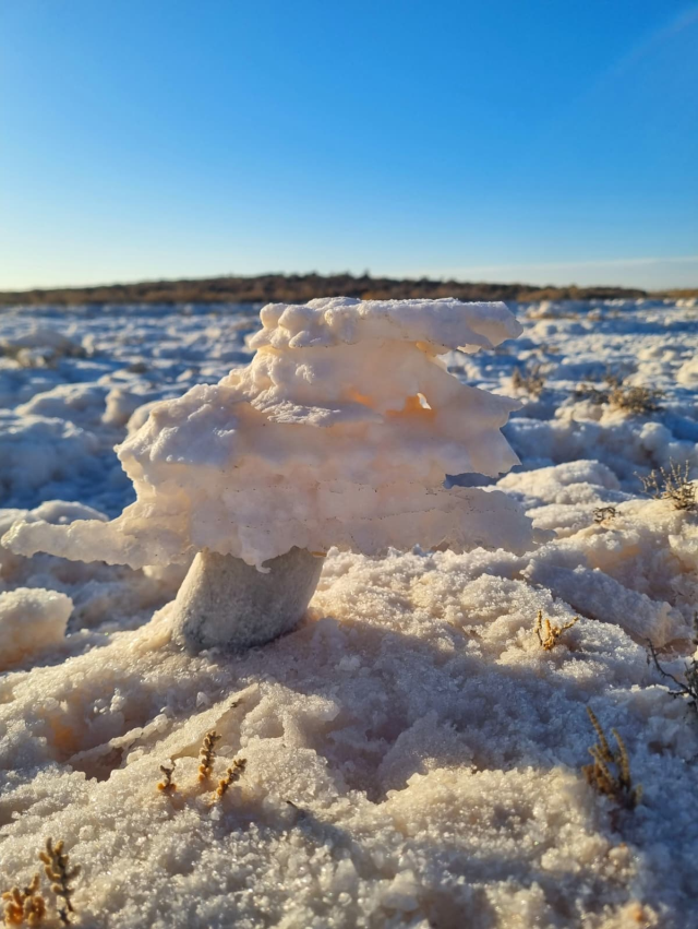 The water has receded, Tuz Lake has become the new favorite of photographers