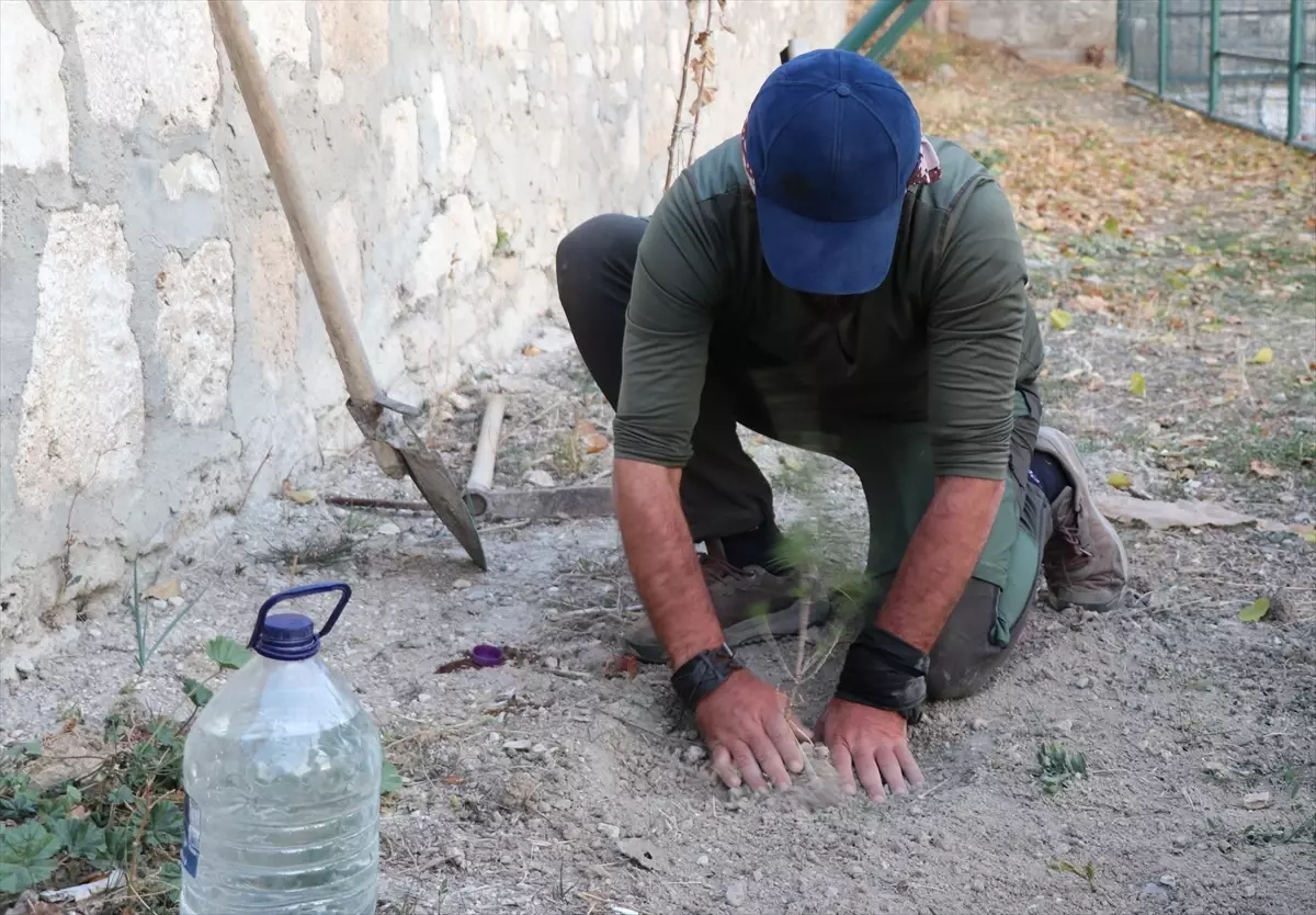 Ömer Özer, 81 ilde fidan dikme yolculuğunda 77. ili Burdur'da tamamladı