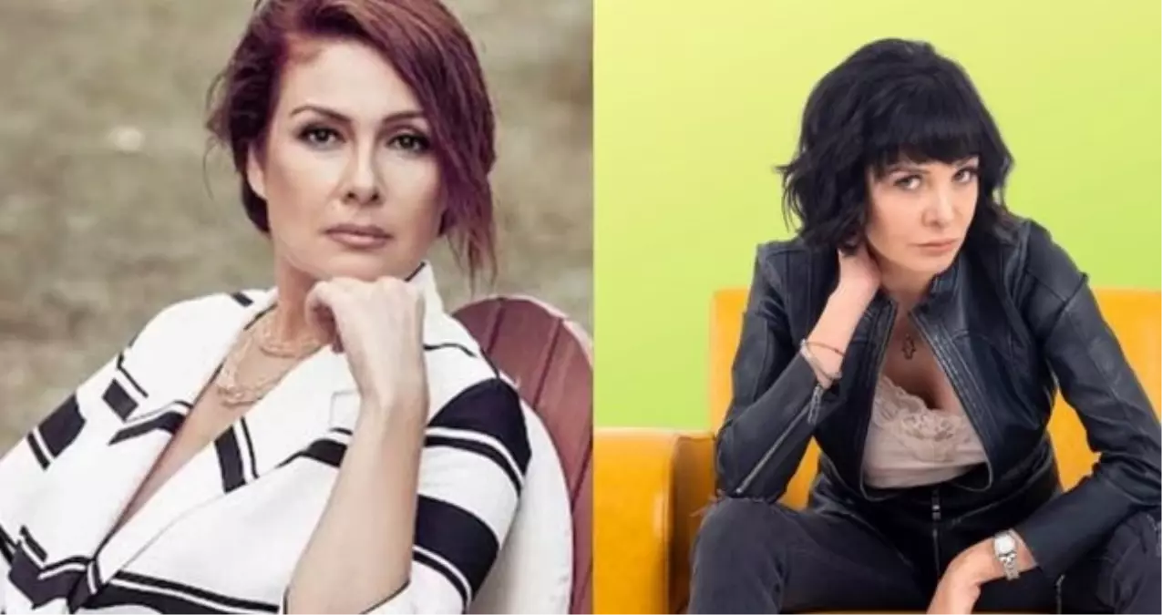 Zeynep Gülmez olayı nedir? Zeynep Gülmez Evrim Akın'a ne dedi?