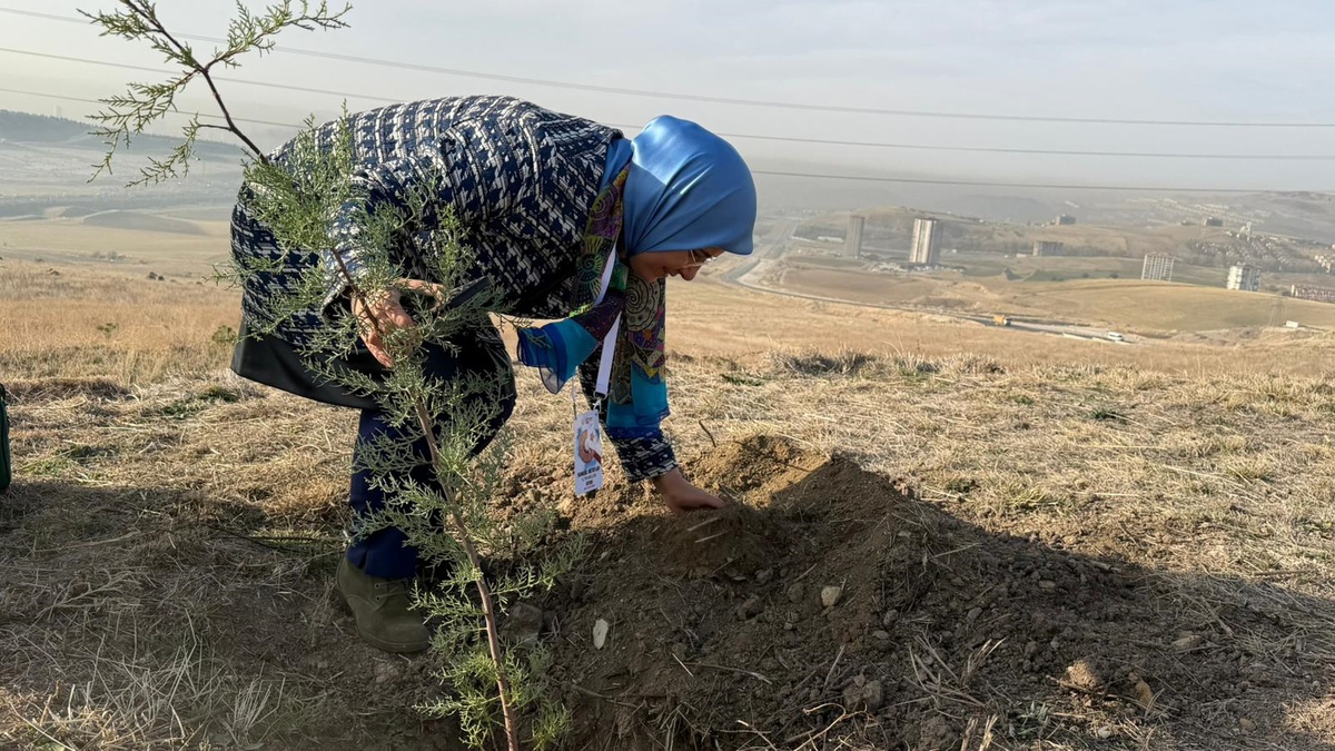 Ankara'da öğretmenler fidan dikti
