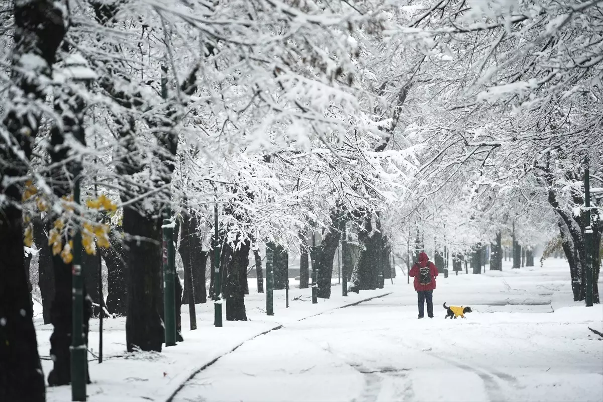 Saraybosna'da Kar Yağışı Şehirde Görsel Şölen Yarattı