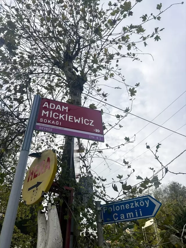 Little Poland in Istanbul! Everything started with the arrival of two battalions of soldiers