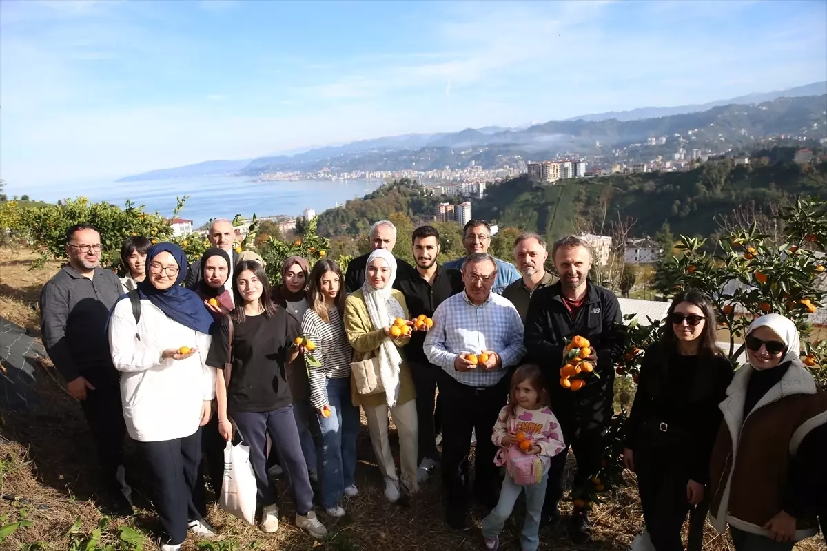 Rize'de "Haydi Hep Birlikte Mandalina Hasadına" etkinliği düzenlendi
