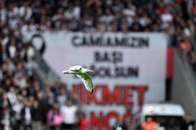 Uninvited guest that made an impact on the Beşiktaş-Samsunspor match