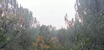 Bursa'da Ormanlık Alanda Mahsur Kalan Kişi Kurtarıldı