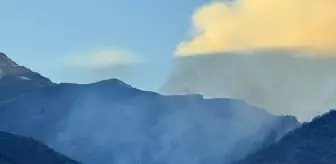 Hakkari'nin Şemdinli İlçesinde Ağaçlık Alanda Yangın Kontrol Altına Alındı