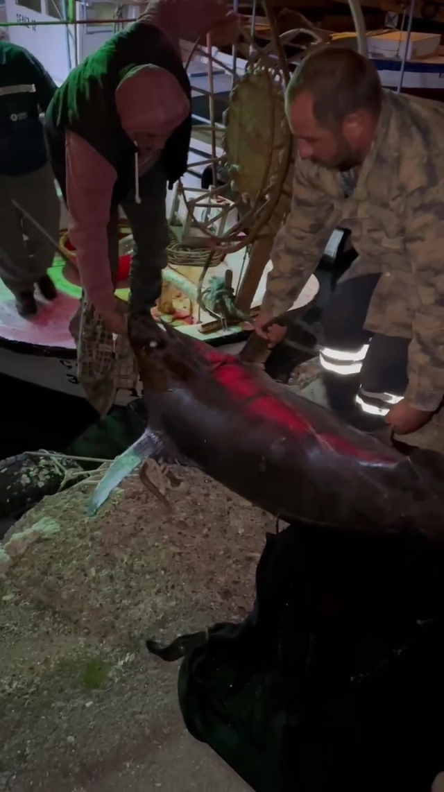 Fishermen in Hatay Caught a Giant Swordfish: Sold for 65 Thousand TL