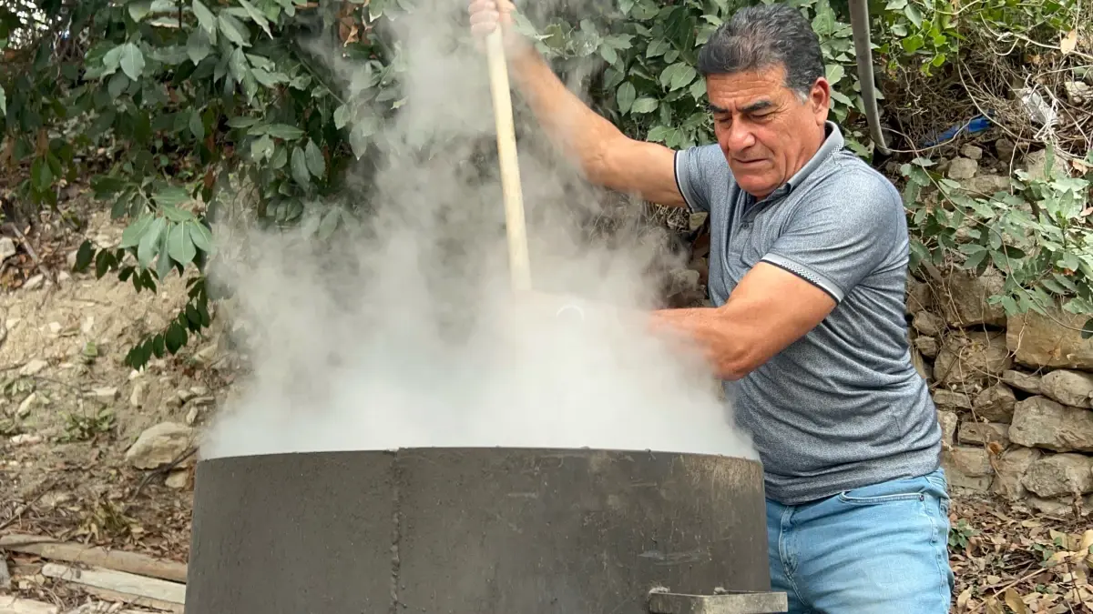 Hatay'da Defne Yağı Üretimi Artış Gösterdi