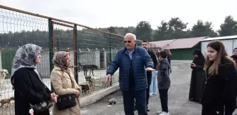 Boyabat'ta Sokak Hayvanları İçin Doğal Yaşam Alanı Açıldı