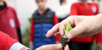 Kırklareli'deki Öğretmenden Çevre Bilinci Projesi