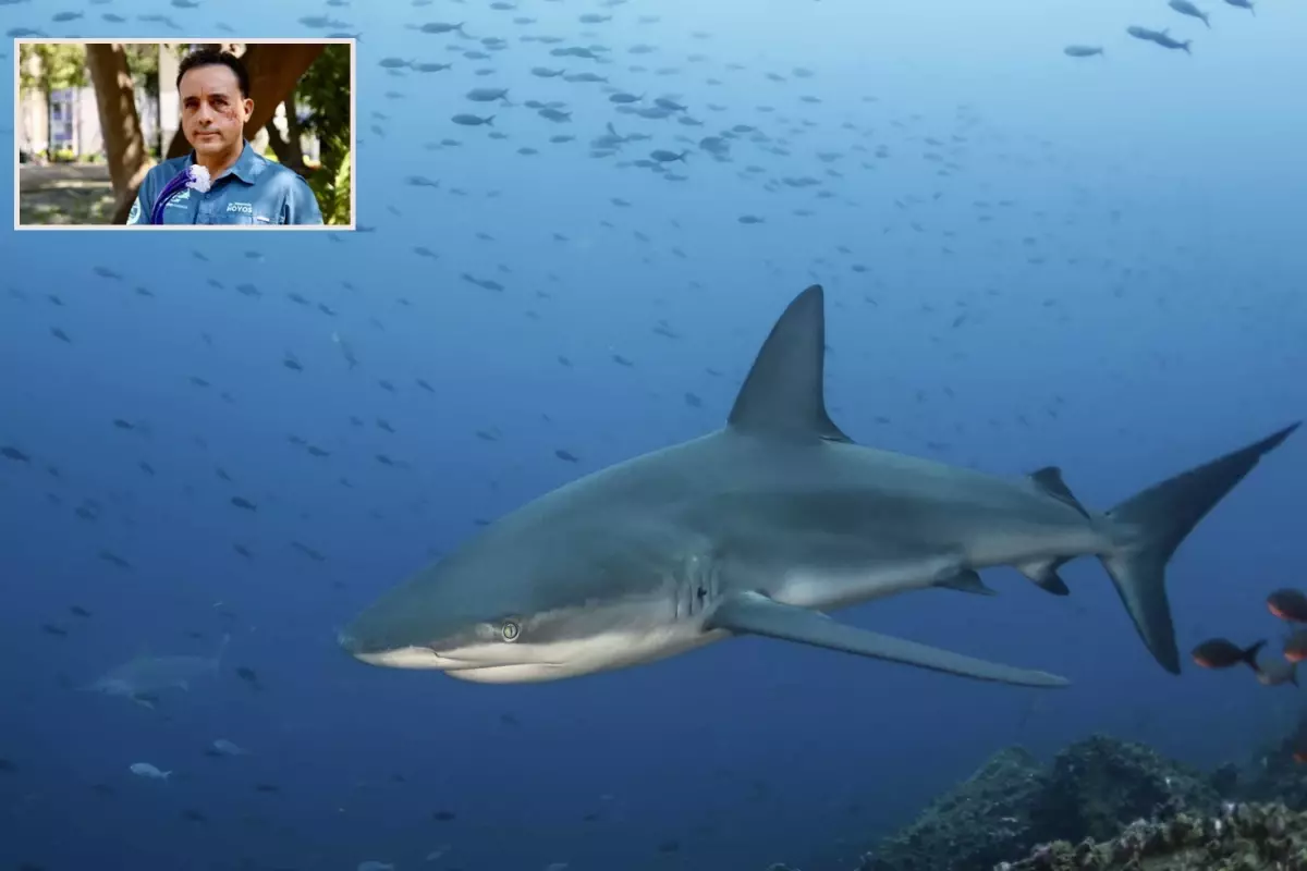 Köpekbalığı saldırısından sağ kurtulan biyolog o anları anlattı
