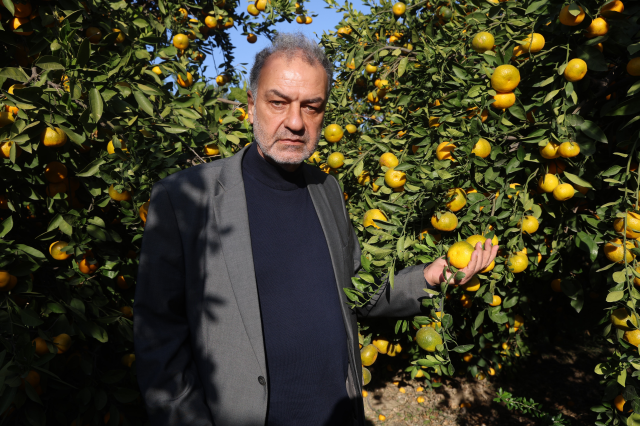 Sold for 30 TL in markets! When the price dropped to 2 TL, they distributed tons of it for free