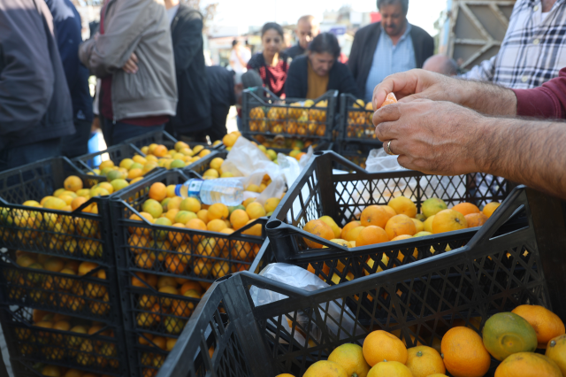 Sold for 30 TL in markets! When the price dropped to 2 TL, they distributed tons of it for free