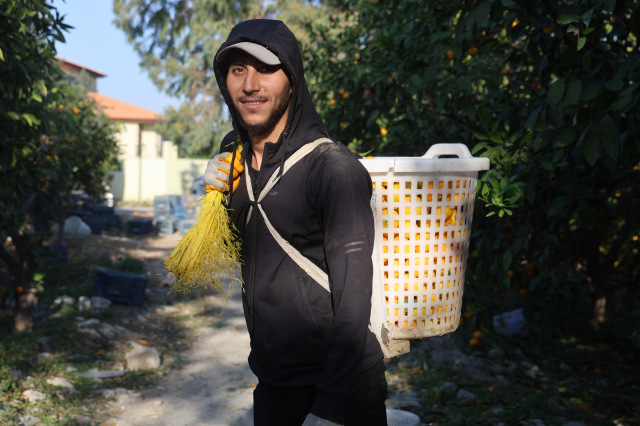 Sold for 30 TL in markets! When the price dropped to 2 TL, they distributed tons of it for free