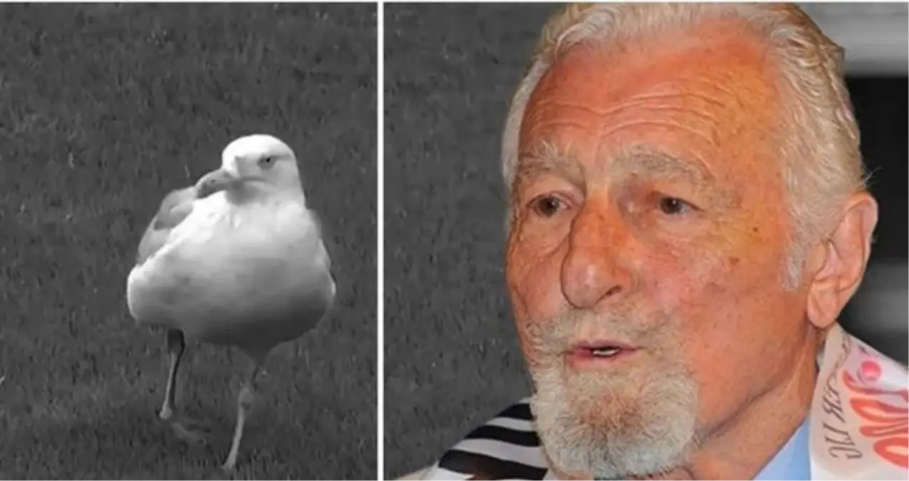 Süleyman Saba martı sözü gerçek mi?