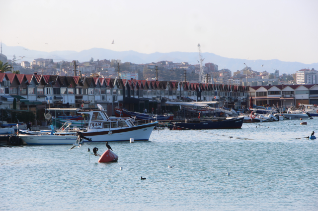 No deed at all! Its price competes with luxury apartments