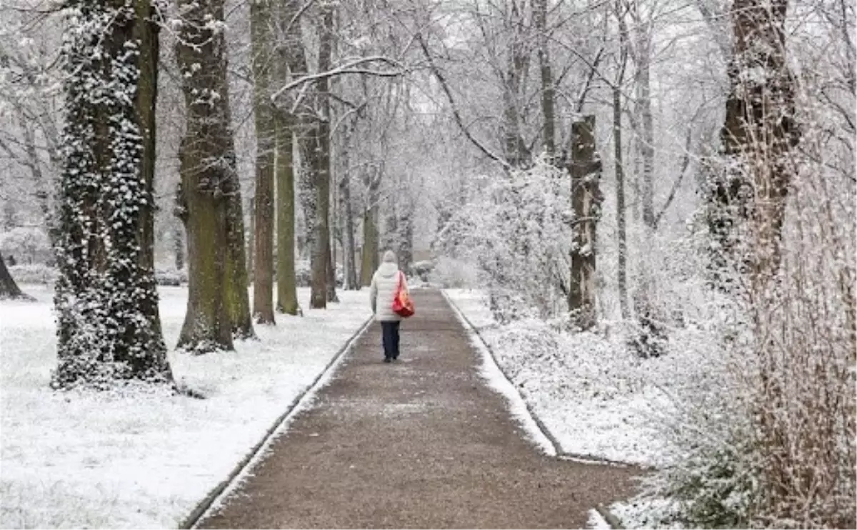 Almanya'da Kar Yağışı ve Buzlanma Trafik Kazalarına Neden Oldu