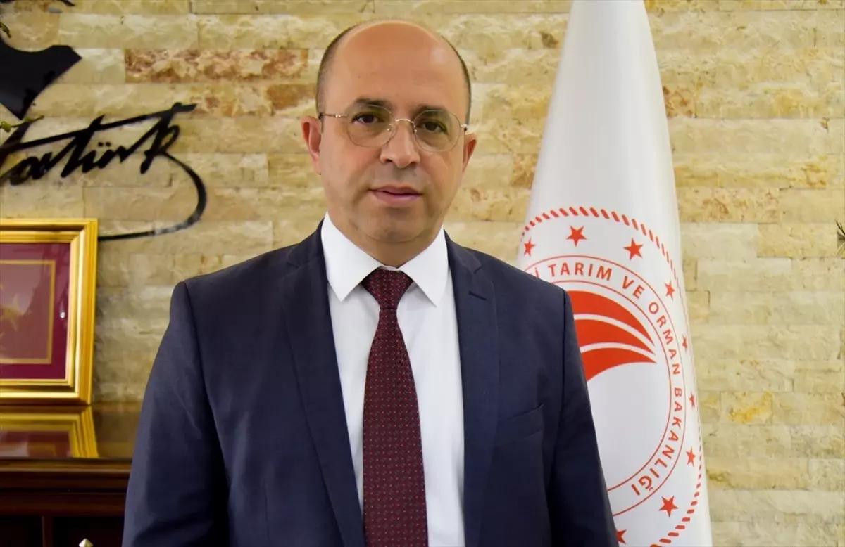 Antalya'da Zeytin Üretimi ve Zeytinyağı Kalite Yarışması Düzenlenecek