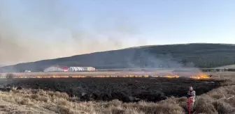 Ardahan'da Putka Gölü Sazlığında Yangın Çıktı