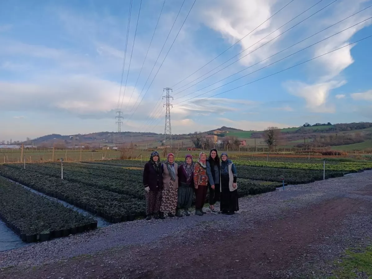 Nihal Başkan, Baba Mesleğini Süs Bitkileri İhraç Ederek Sürdürüyor