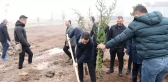 Güroymak'ta Fidan Dikim Etkinliği Gerçekleştirildi